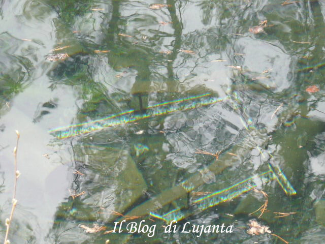 Dettaglio del luogo sacro