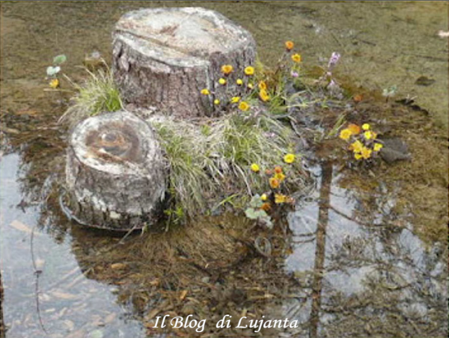 Laghetto delle Tose, Lagole di Calalzo (Belluno)