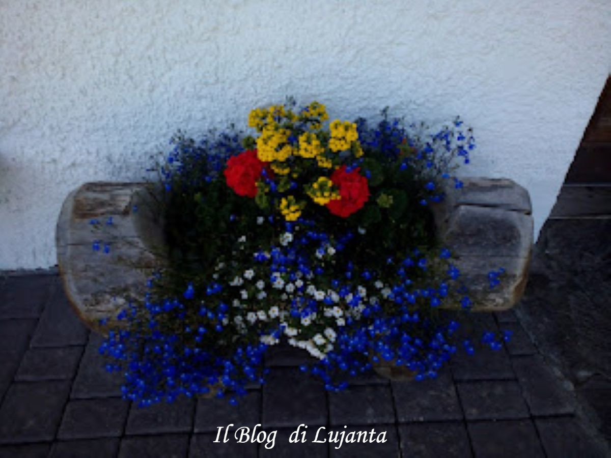descrizione immagine