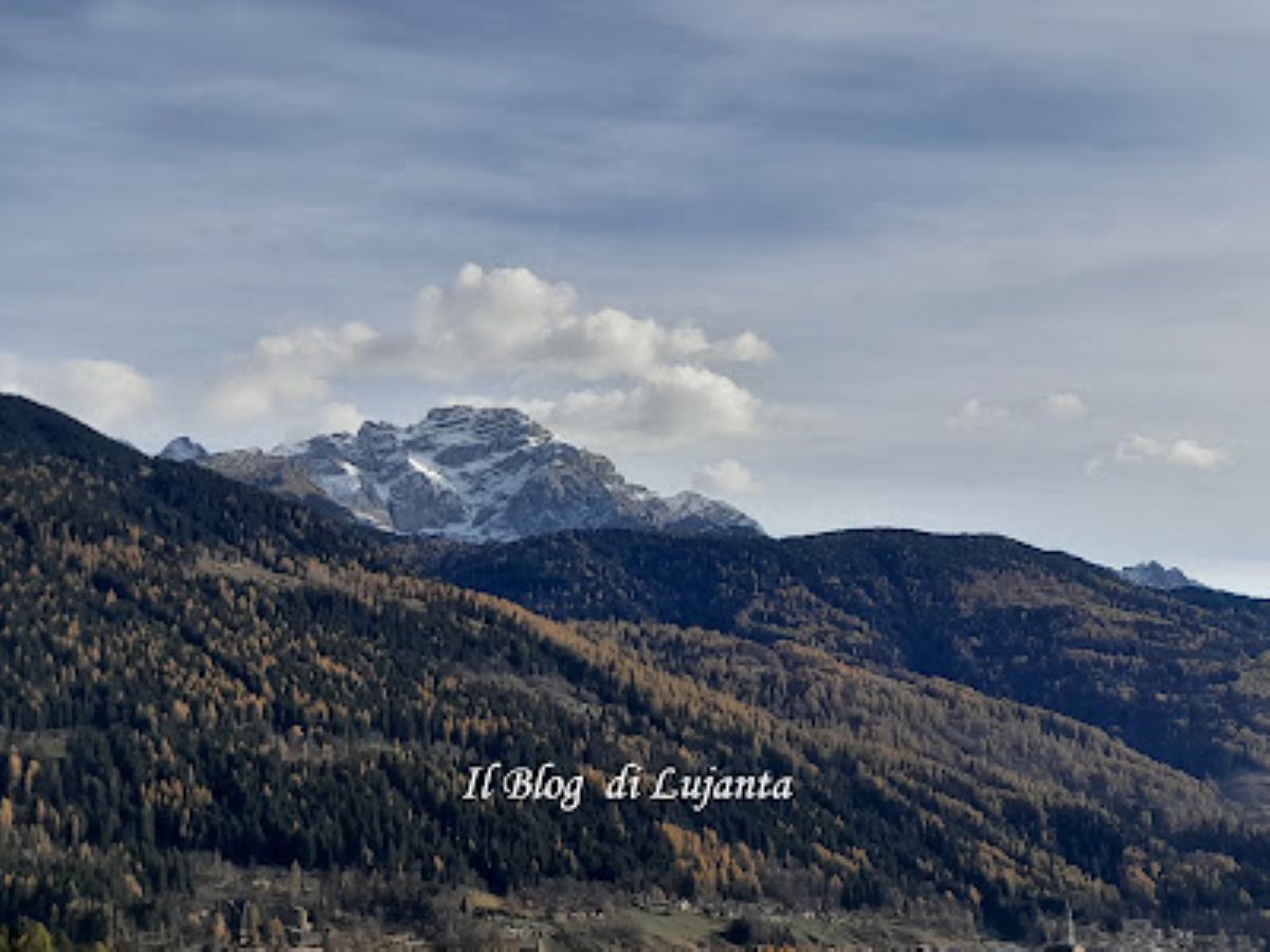 descrizione immagine